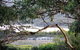 KINGFISHER COTTAGE Beachfront At The Binalong Bay - thumb 17