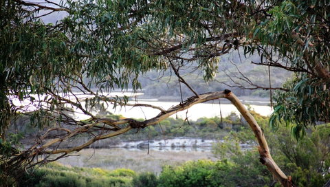 KINGFISHER COTTAGE Beachfront At The Binalong Bay - Dalby Accommodation 17