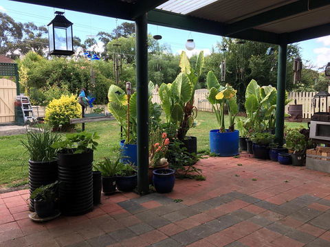 Blue Wren Bungalow - Dalby Accommodation 0