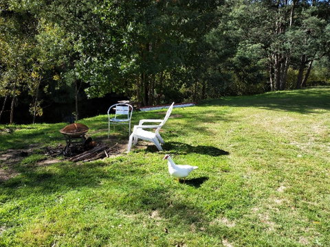 Wanderlust Cottage - Dalby Accommodation 18