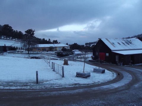 Eden Orchard & Farmstay - Dalby Accommodation 23