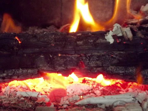 Eden Orchard & Farmstay - Dalby Accommodation 3