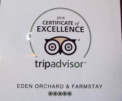 Eden Orchard & Farmstay - Dalby Accommodation 28