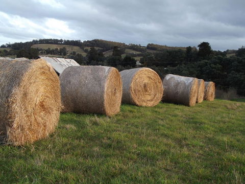 Eden Orchard & Farmstay - Dalby Accommodation 35