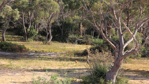 BAY OF FIRES SEACHANGE Ocean Frontage - Dalby Accommodation 12