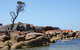 BAY OF FIRES SEACHANGE Ocean Frontage - thumb 21
