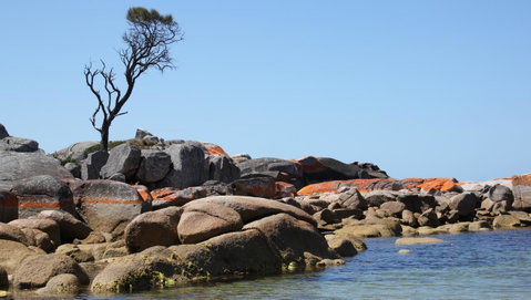 BAY OF FIRES SEACHANGE Ocean Frontage - Dalby Accommodation 21