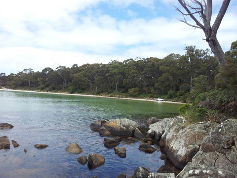 Mandala Bruny Island - Dalby Accommodation 28