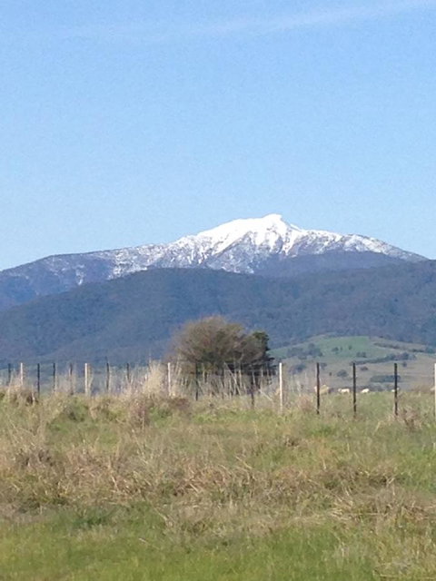 High Country Holiday Park - Dalby Accommodation 34