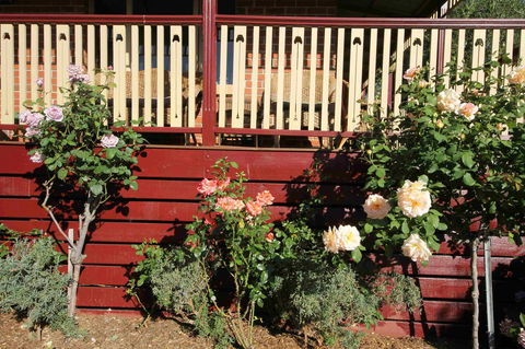 Oxford Rise Apartment - Dalby Accommodation 21