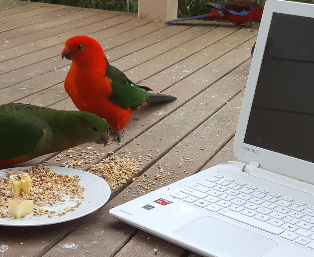 Foster VIC Dalby Accommodation