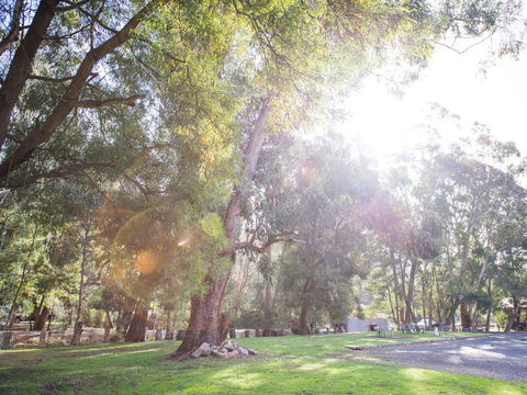 Gariwerd Motel - Dalby Accommodation 7