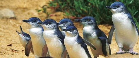 Quays Motel San Remo - Dalby Accommodation 22