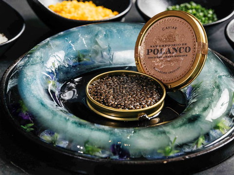 Sofitel Melbourne On Collins - Dalby Accommodation 41