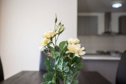 Holiday Rose - Dalby Accommodation 8