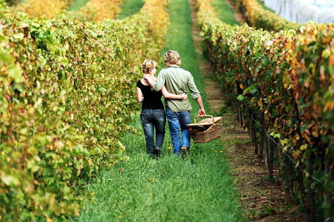 Goldfield Holiday Units - Dalby Accommodation 33