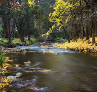 Goldfield Holiday Units - Dalby Accommodation