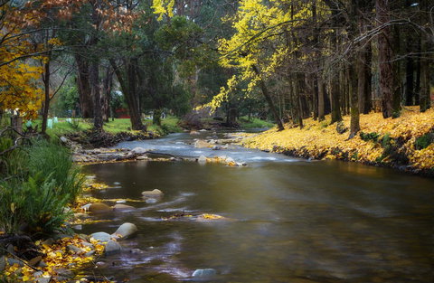 Goldfield Holiday Units - Dalby Accommodation 0