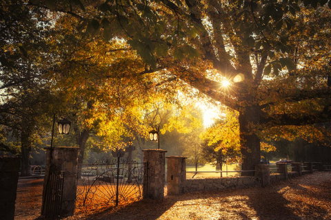 Goldfield Holiday Units - Dalby Accommodation 20