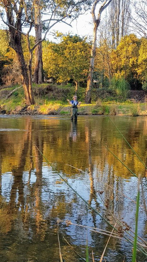 Goldfield Holiday Units - Dalby Accommodation 21