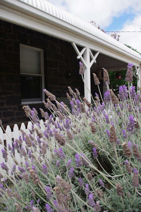 Little River Bed And Breakfast - Dalby Accommodation 30