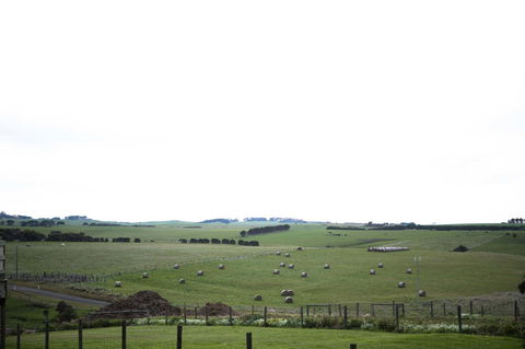 Stunning Waterfront Only 10 Minutes To Phillip Island - FREE EV UNIT 7kW For Electric Cars - Pet Friendly, Fireplace FREE WIFI Wine & Chocolates - Dalby Accommodation 10