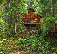 The Canopy Rainforest Treehouses  Wildlife Sanctuary - Dalby Accommodation