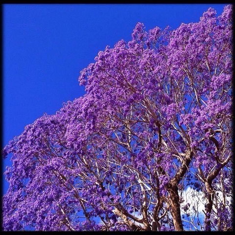 The Church - Dalby Accommodation 3