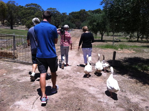 The Farm Willunga - Dalby Accommodation 1