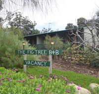 The Fig Tree BB - Dalby Accommodation