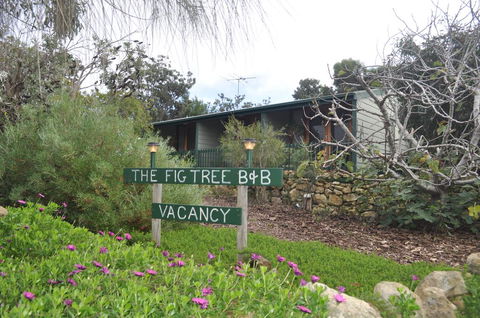 The Fig Tree B&B - Dalby Accommodation 0