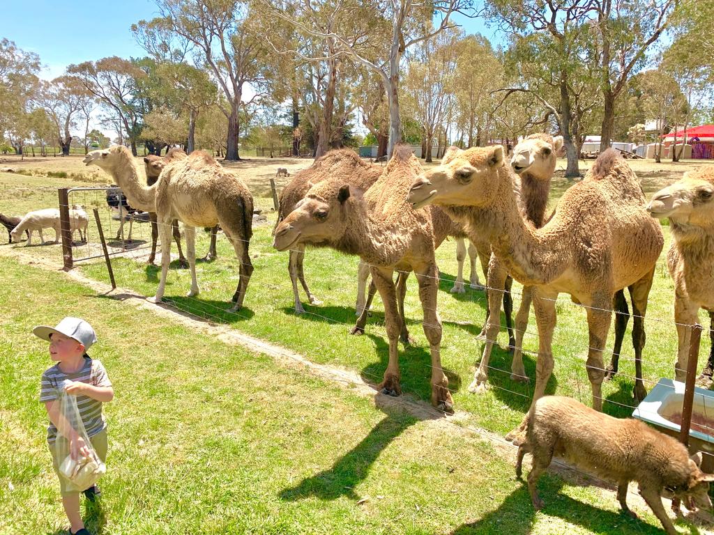  Dalby Accommodation