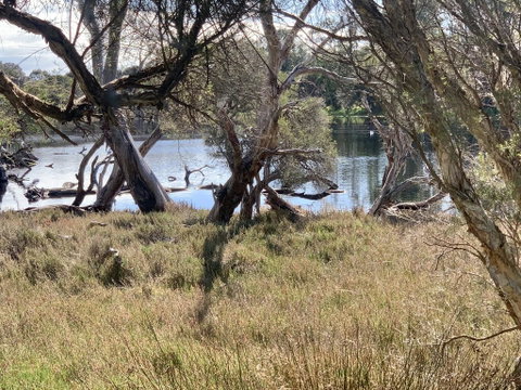 The Lake House - Dalby Accommodation 0