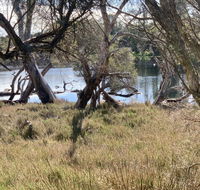 The Lake House - Dalby Accommodation