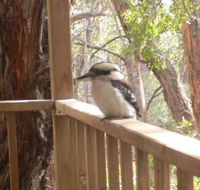The Ledge Holiday House - Dalby Accommodation