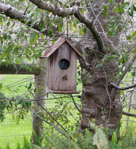 The Little House On The Hill - Dalby Accommodation 3
