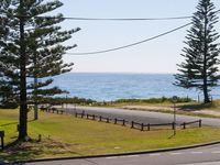 The Penguins Head - across from the beach