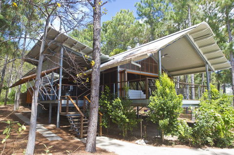 The Pines - Dalby Accommodation 0