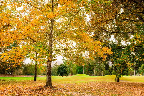 The Retreat At Wisemans - Dalby Accommodation 1