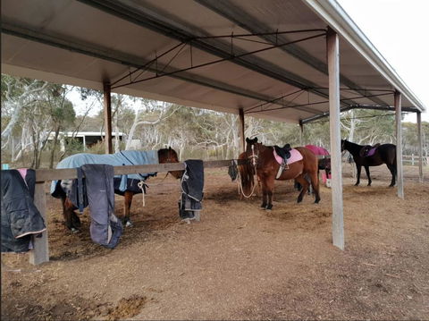 The Saddle Camp Tiny House, Braidwood - Dalby Accommodation 1