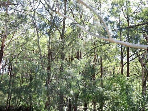 The Shaka Shack - Dalby Accommodation 1
