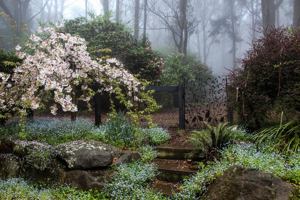 Mount Tomah NSW Dalby Accommodation