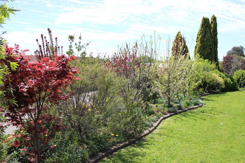 Top Of The Town Motel - Dalby Accommodation 2
