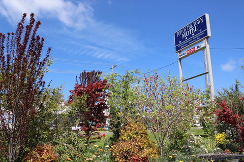 Top Of The Town Motel - Dalby Accommodation 1