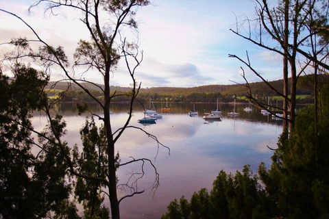 Tranquil Point - Dalby Accommodation 0