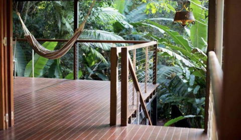 Treetops Retreat Cairns - Dalby Accommodation 1