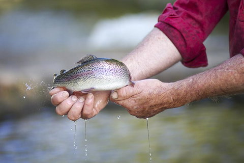 Tuki Retreat - Dalby Accommodation 2