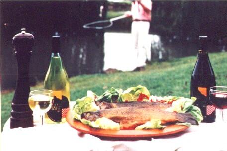 Tuki Retreat - Dalby Accommodation 3