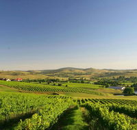 Turners Vineyard Motel - Dalby Accommodation