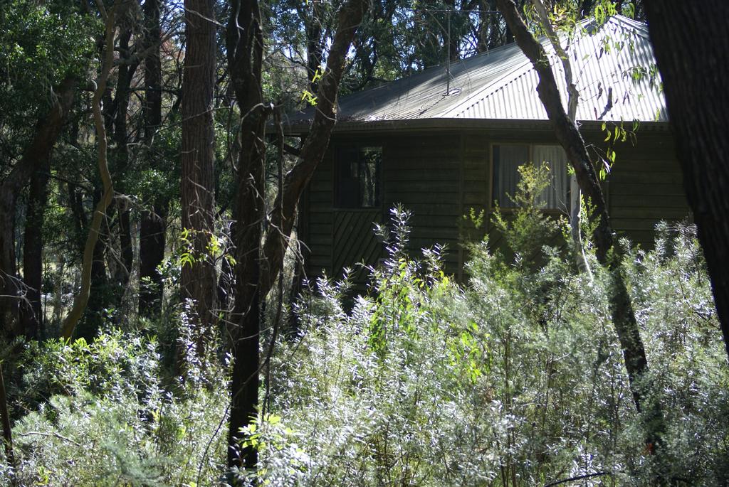 Fitzroy Falls NSW Dalby Accommodation